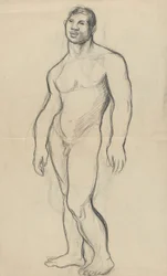 Álló meztelen férfi
